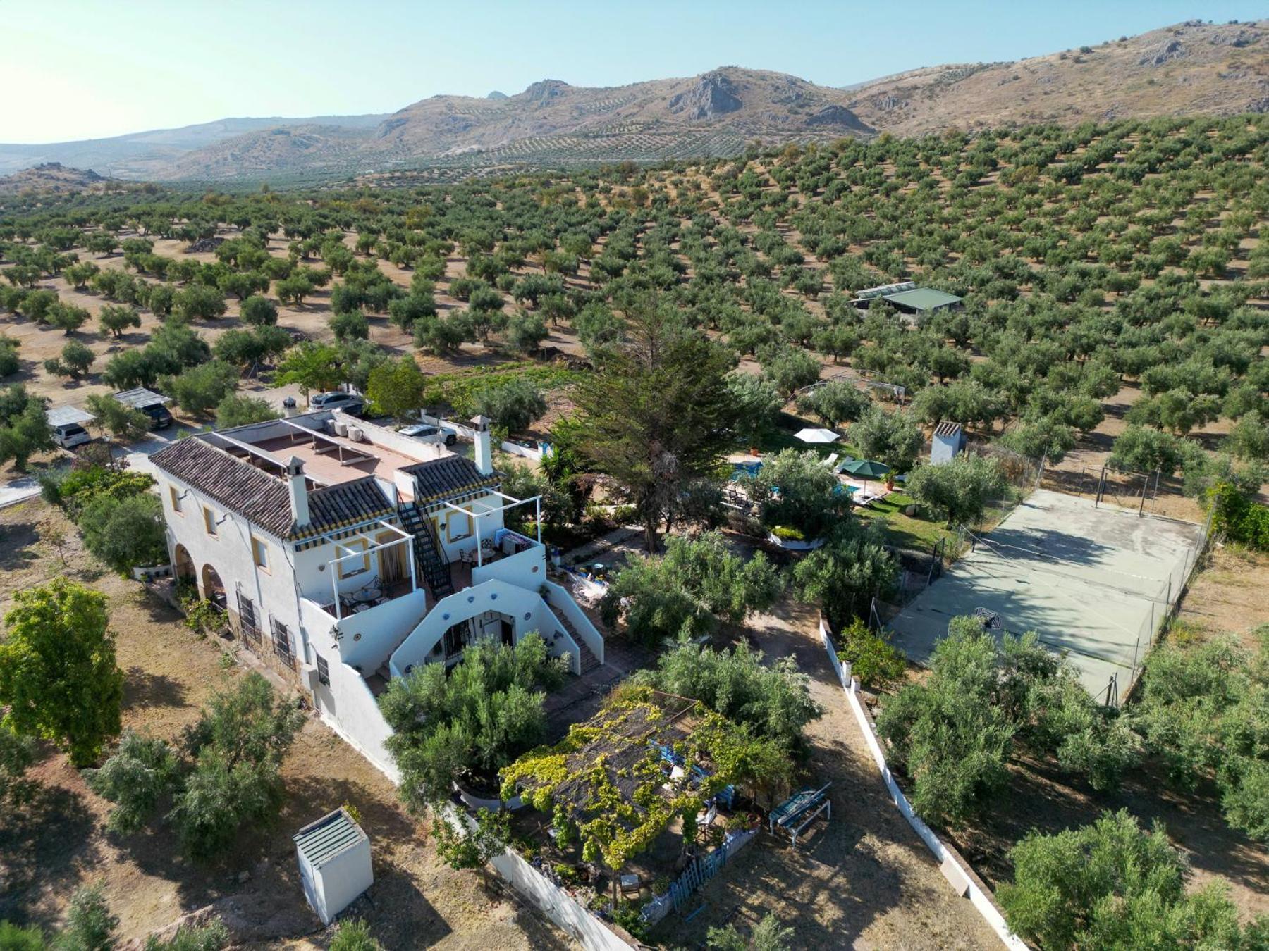 Agroturismo Ecologico El Cortijillo Луке Экстерьер фото