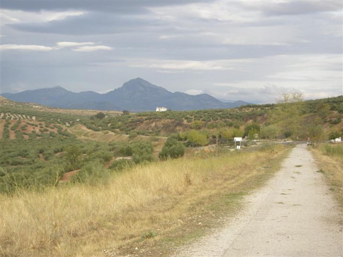 Agroturismo Ecologico El Cortijillo Луке Экстерьер фото